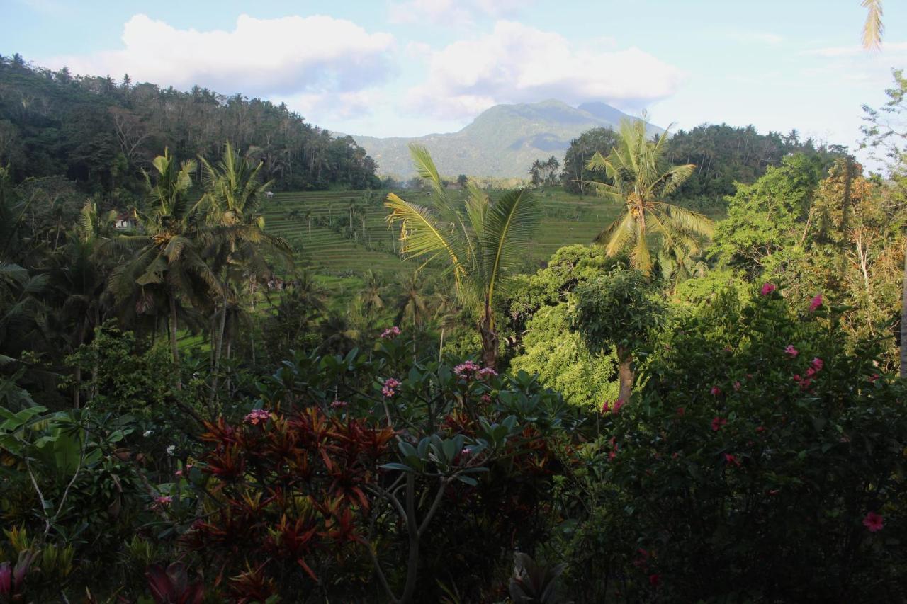 Pondok Lembah Dukuh Homestay Karangasem Exterior foto
