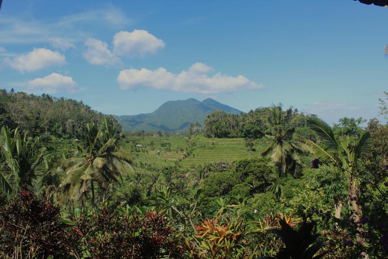 Pondok Lembah Dukuh Homestay Karangasem Exterior foto